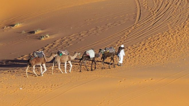 Saharada berber karvanı