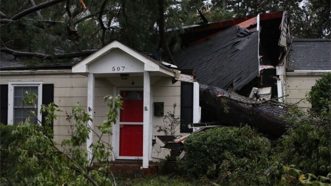 Дом поврежден после того, как на него упало большое дерево