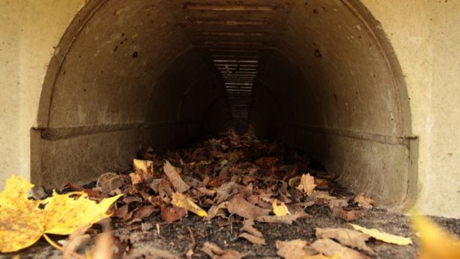Туннели могут предотвратить смерть от дорожного движения