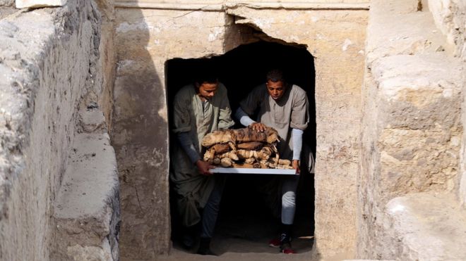 Mummified cats are brought out from a tomb near the King Userkaf pyramid complex in Saqqara Necropolis on November 10, 2018