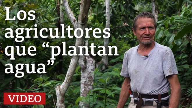 Los agricultores que convirtieron al desierto en bosque en el Semiárido de Brasil