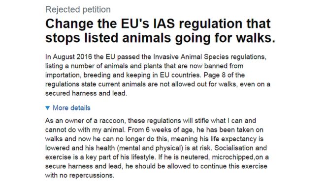 Петиция от владельца енота с просьбой изменить регламент IAS ЕС, который запрещает перечисленным животным ходить на прогулки.