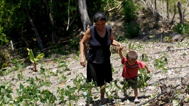 Женщина и ее сын гуляют на своем участке, пострадавшем от засухи в Гондурасе