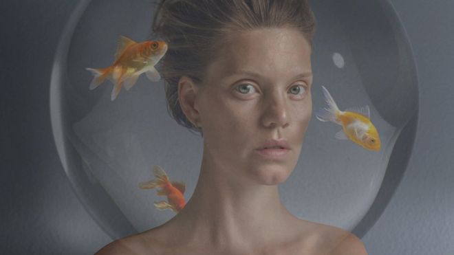 Imagem mostra mulher com a cabeça dentro de um aquário com peixes