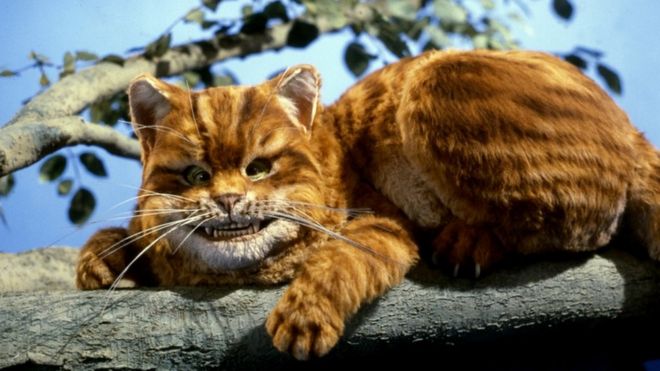 Чеширский кот (с огромной улыбкой)