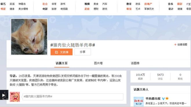 Основная связь с трендом Sina Weibo, показывающая плачущего кота