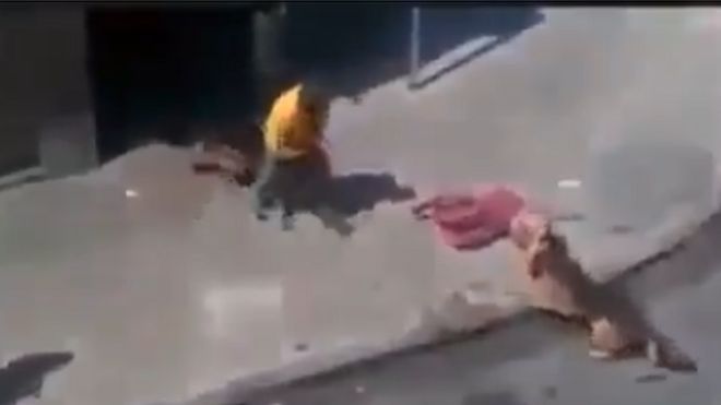 स्नैपशॉप