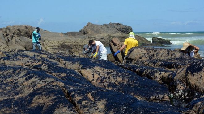 Voluntários e funcionários públicos limpam manchas de óleo em pedras