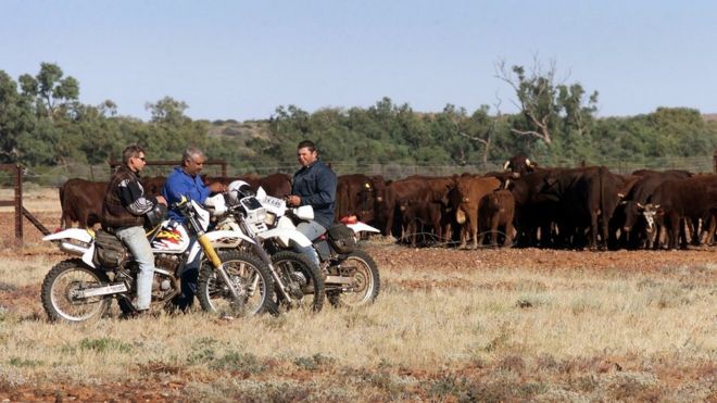 Рабочие скотоводческой станции Анна-Крик, входящей в состав империи Кидман, отдыхают на треке Однадатта в глубинке Южной Австралии