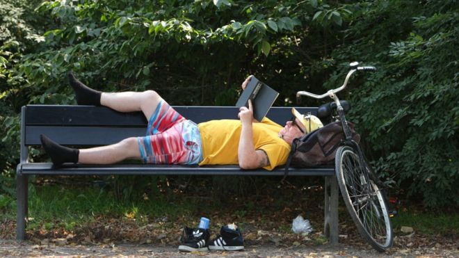 Hombre leyendo junto a su bicicleta en el banco de un parque en Ámsterdam.