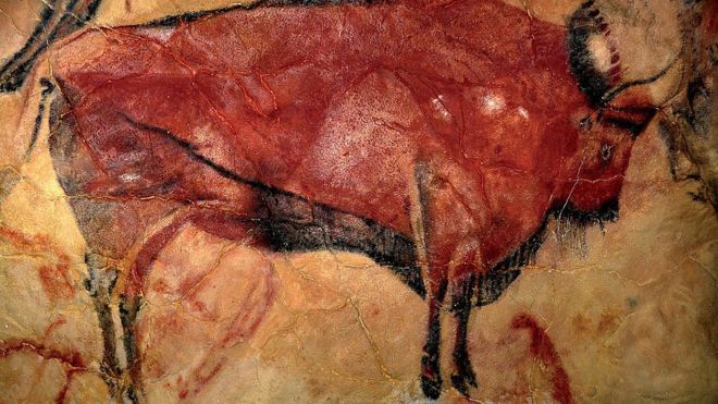 Una pintura rupestre de un toro en la cueva de Altamira, en España.