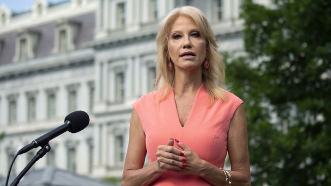 Senior Counselor Kellyanne Conway speaks to members of the media outside the White House in Washington D.C., USA, 17 July 2020