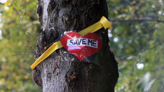 Спасите меня, подписывайте дерево в Шеффилде