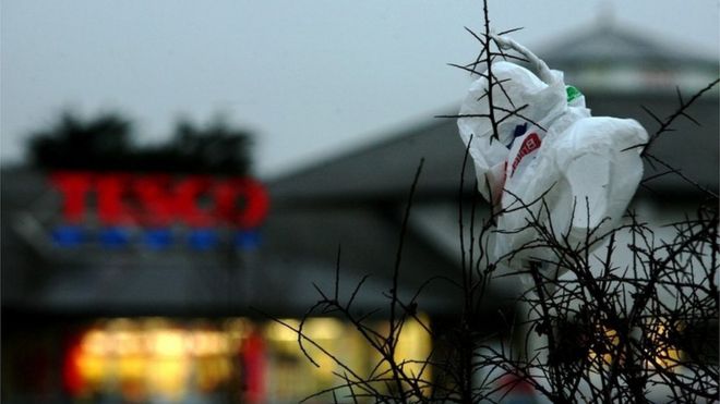 Пластиковый пакет, обернутый вокруг дерева на переднем плане знака Tesco