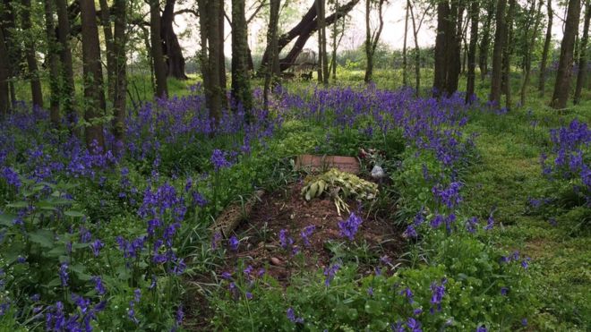Могила Уважения Зеленого захоронения в лесу на севере Ноттингемшира