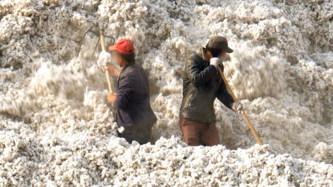 Trabalhadores em um campo de algodão em Xinjiang