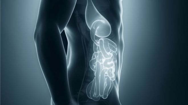 Graphic showing male digestive system illuminated