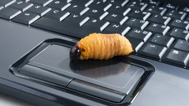 червяк на клавиатуре