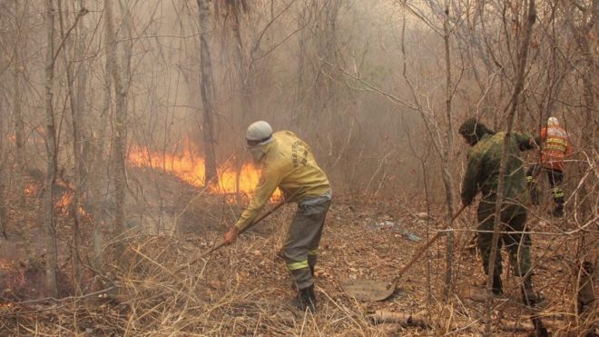 Brigadista tenta controlar fogo no Pantanal