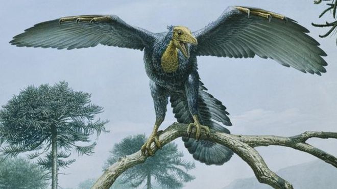 Image result for archaeopteryx dinosaur