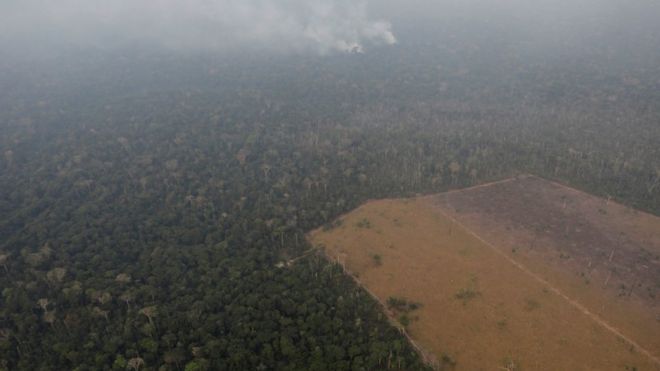 Fumaça se espalha em área de floresta perto de Porto Velho (RO), no meio da qual há um clarão desmatado