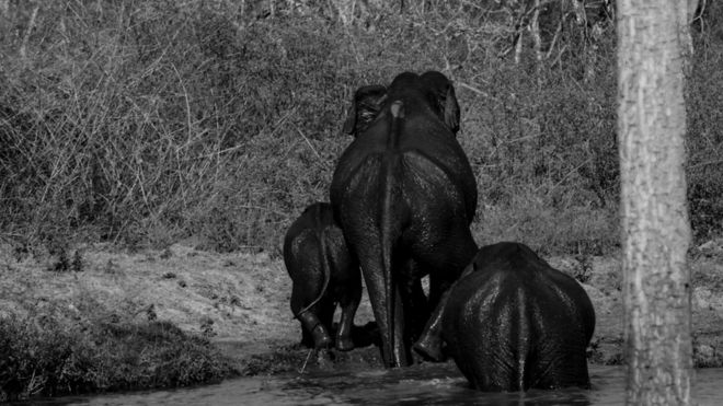 கார்த்திகேயன்