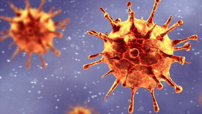 कोरोना वायरस