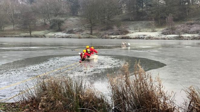 Пожарные помогают собаке выйти из замерзшего пруда в парке Хардвик Холл