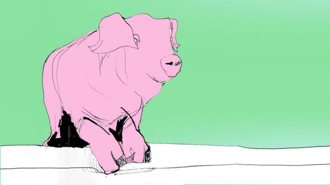 Иллюстрация свиньи