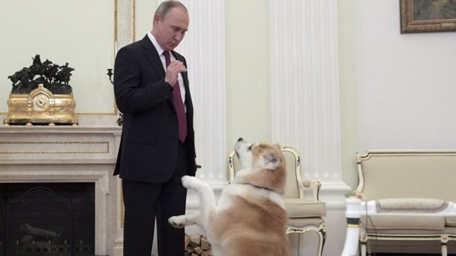 بوتين وكلبه