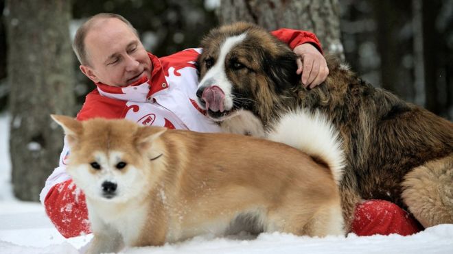 Путин играет в снегу со своими собаками под Москвой