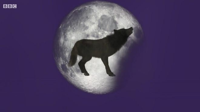 super blood wolf moon