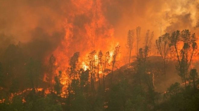 美国加州山火持续，火势蔓延至近百万英亩土地。