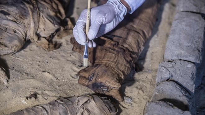 Um gato mumificado na Ã¡rea perto do complexo pirÃ¢mide King Userkaf na NecrÃ³pole de Saqqara em 10 de novembro de 2018