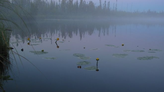 Водно-болотные угодья Березовых гор