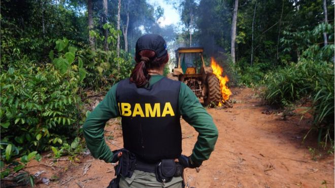 Операция Ibama против незаконной вырубки лесов в Мату-Гросу, Бразилия (июль 2015 г.)