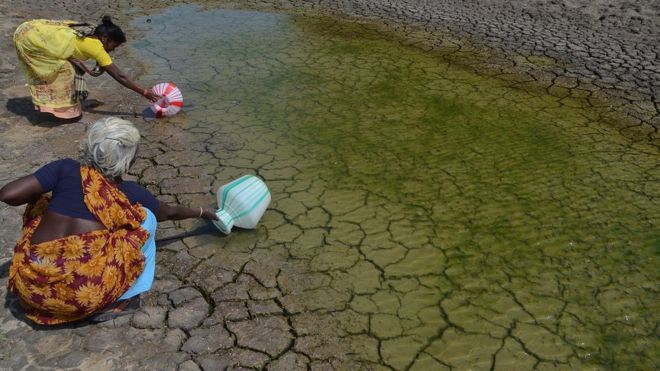 நீரும், நானும்: பிபிசி தமிழ் வாசகர்களின் புகைப்படத் தொகுப்பு