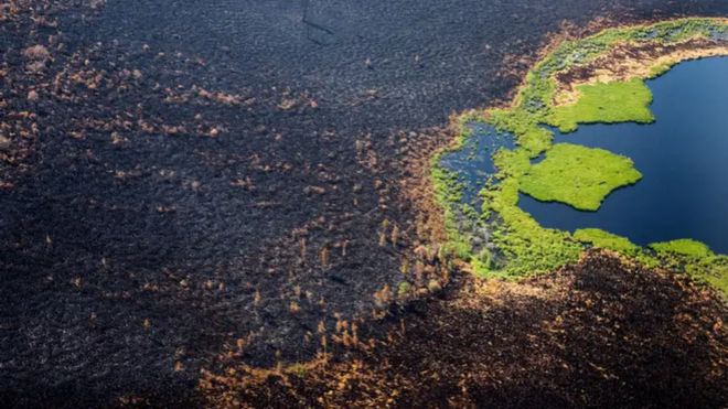 พื้นที่ป่า Gorny Ulus ในเขตไซบีเรียไหม้เกรียม หลังไฟป่าลุกลามเป็นบริเวณกว้าง