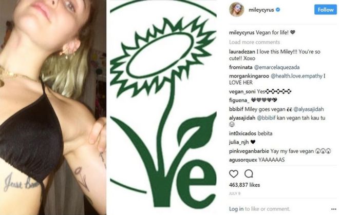 Instagram фото Майли Сайрус с ее веганской татуировкой