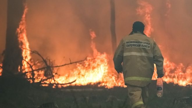 лесной пожар в Свердловской области
