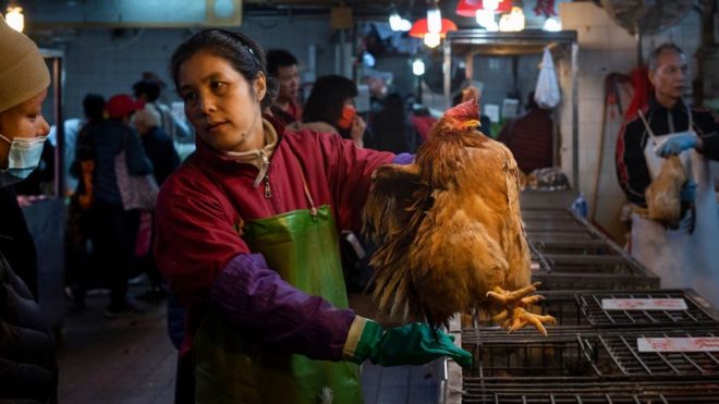 Una mujer ofrece una gallina a la venta en un mercado de Hong Kong