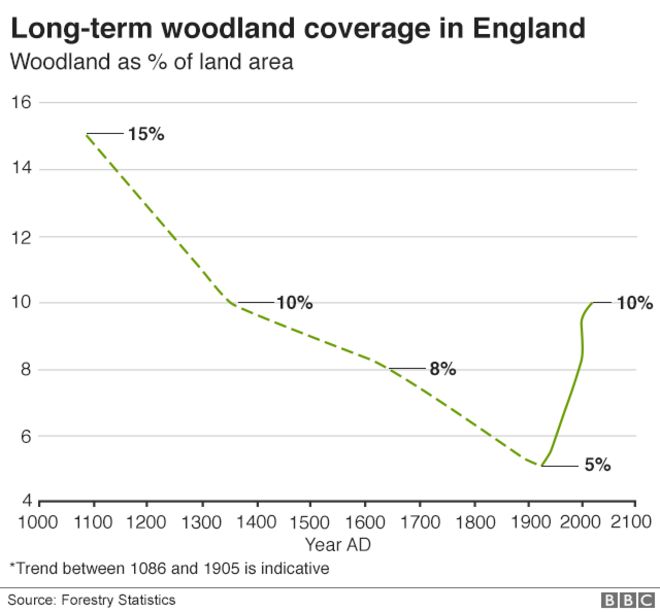 График, показывающий долговременное лесное покрытие в Англии