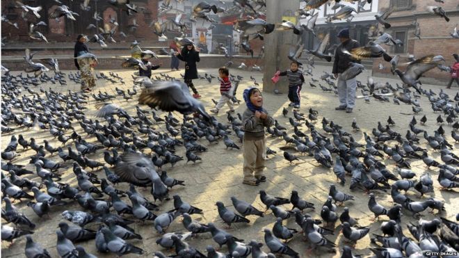 Crianças alimentam pombos em Kathmandu