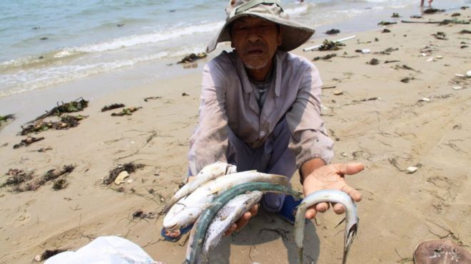 Việt Nam, môi trường, Formosa