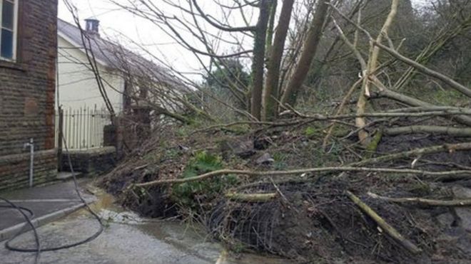 Деревья повалились на ризницу Пантега в Исталифере после обвального падения