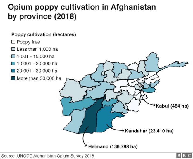 На карте обозначены районы Афганистана, где выращивается наибольшее количество опийного мака. Основные моменты провинции Гильменд, которая растет больше всего.