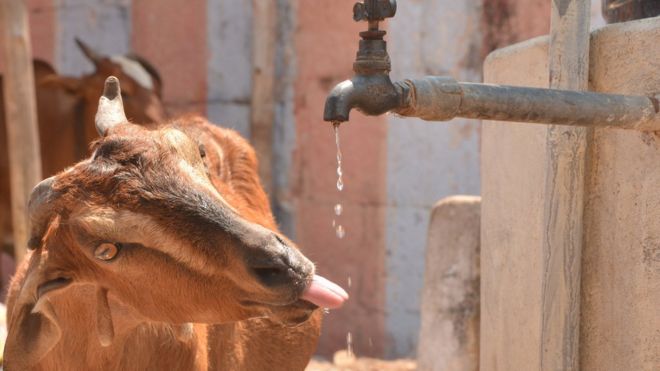 எஸ்.பாலாஜி மாமல்லபுரம்