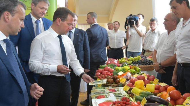 Премьер-министр России Дмитрий Медведев осматривает сельскохозяйственную продукцию, выращенную в Краснодарском крае в южном городе Краснодар, Россия, 11 августа 2015 года.