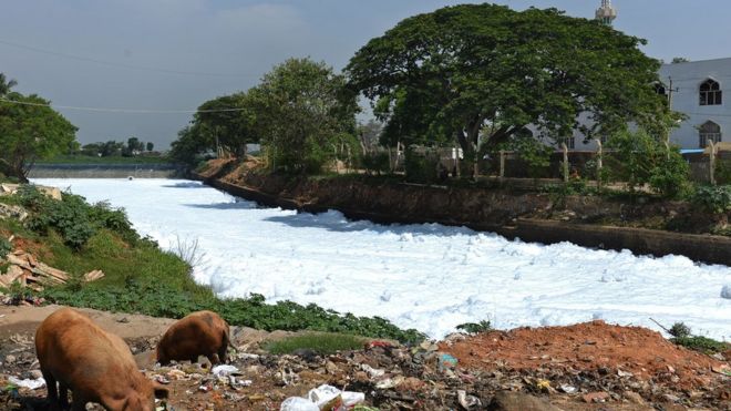 Канал, который когда-то доставлял воду из озера Белландур в озеро Вартур, заполнен пеной, вытекающей из сточных вод в восточном Бангалоре 1 мая 2015 года.
