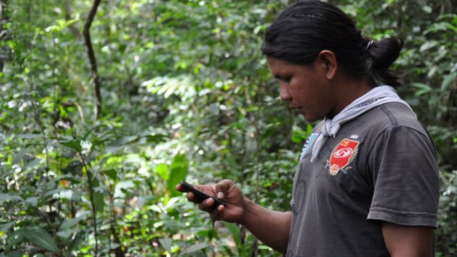 Смартфоны, используемые для мониторинга леса